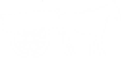 Horse-with-cart