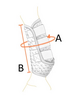 Stretch and Flex Training Wraps Arbeitsgamaschen