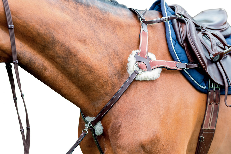 Prestige 5 Point Breastplate
