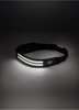 WW LED Head Torch