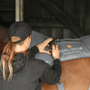 Massage Pad