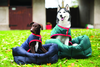 Horseware Rambo Waterproof Dog Coat