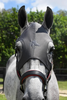Fenwick Liquid Titanium® Maske without Ears