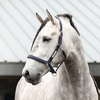 Stellar All Weather Sicherheits-Stallhalfter 