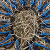 Haynet elim-a-net