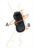 Tri-Zone Open Fronted Tendon Boots