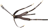 Passier Breastplate Auriga