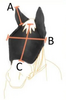 Net Relief Riding Mask