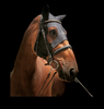 Fenwick Liquid Titanium® Maske with Ears