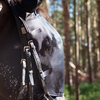 Net Relief Riding Mask