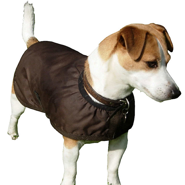Thermatex Waterproof Dog Coat