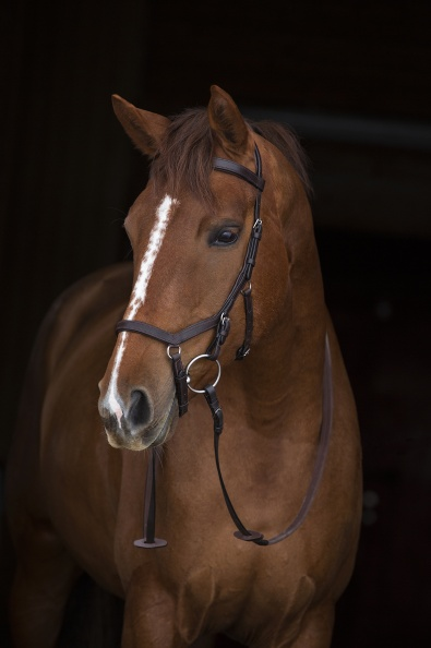 Horseware Micklem Competition Bridle Trense