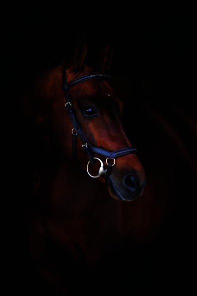 Horseware Competition Deluxe Bridle