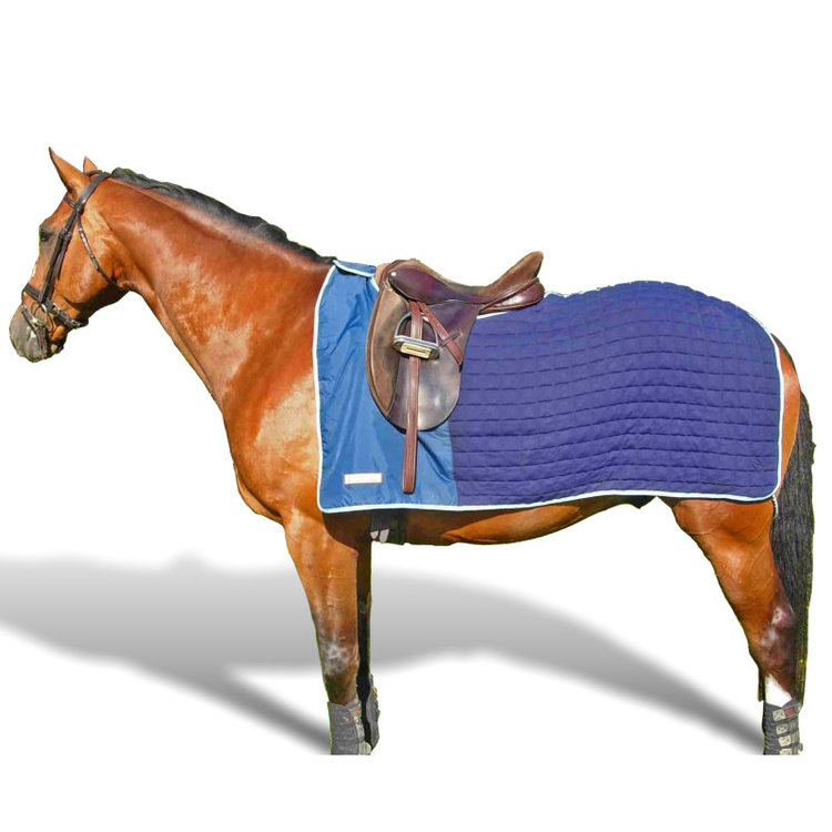 Thermatex Ausreitdecke Nordic Exercise Rug
