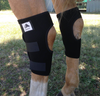 Fenwick Liquid Titanium® Hock Boots