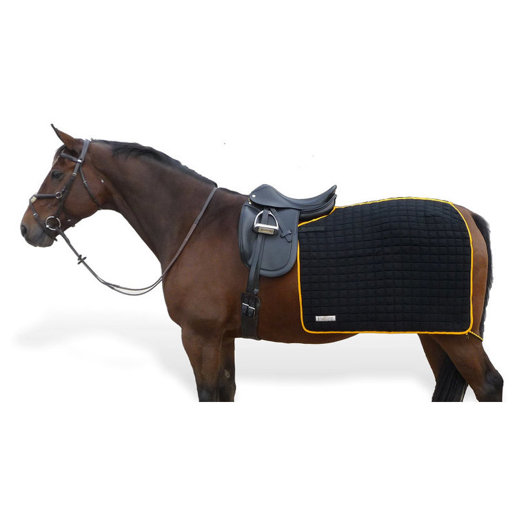 Thermatex Quarter Rug