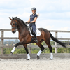 Stretch and Flex Training Wraps Arbeitsgamaschen