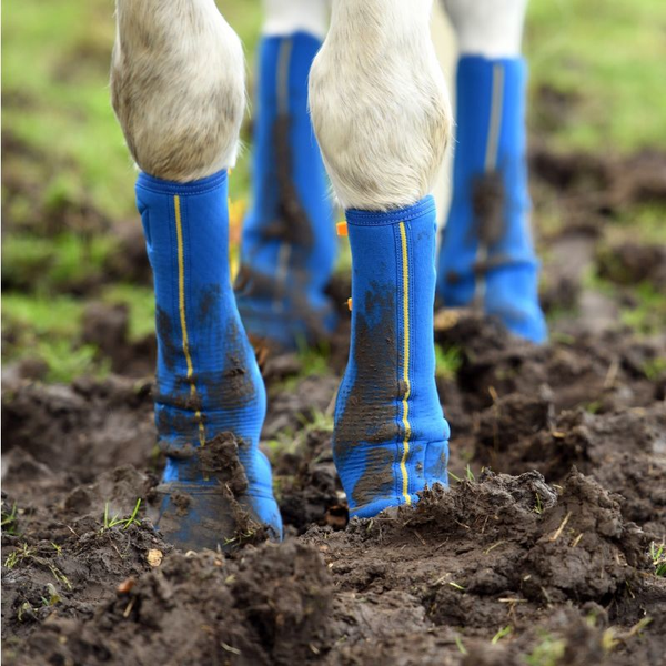 Equi Chaps Close Contact Turnout Boots