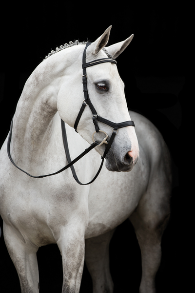 Horseware Competition Diamante Bridle