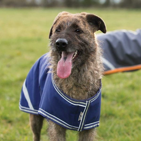Amigo dog fleece 2025