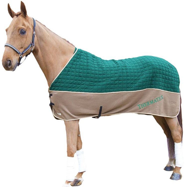 Thermatex Duet Rug