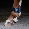 Tri-Zone Fetlock Boot