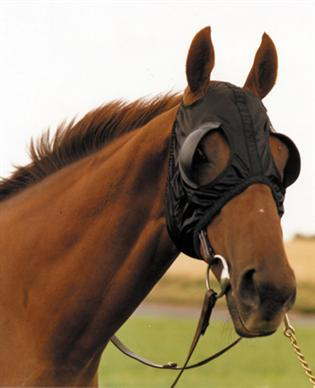 Racing Blinkers 