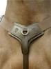 Five point competition breastplate