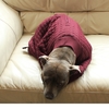 Thermatex Hunde-Sack