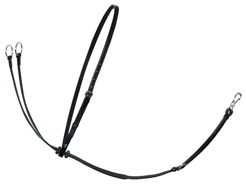 Passier Martingale