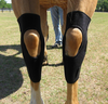 Fenwick Liquid Titanium® Hock Boots
