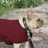 Thermatex Front Opening Dog Coat