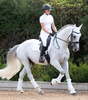 Premier Equine Techno Wool Arbeitsgamaschen