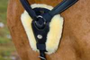 Christ Breastplate Cover