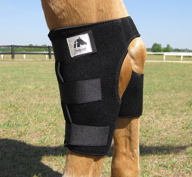 Fenwick Liquid Titanium® Hock Boots