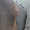 WW Fly Mask with Ears