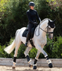Premier Equine Techno Wool Arbeitsgamaschen